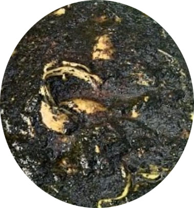 Molokhia Aleppo Minced
