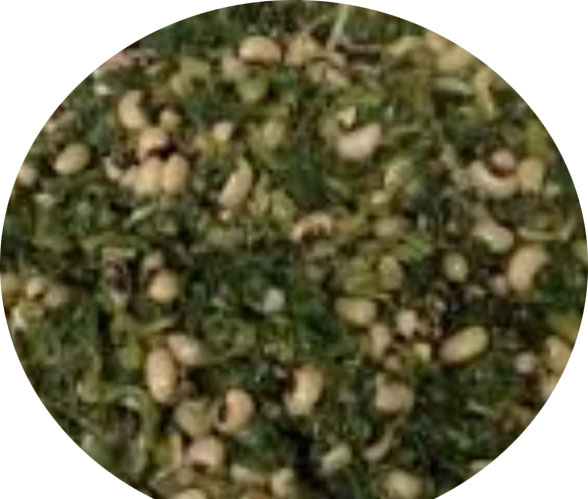 Tanboura (Boulder with Beans)