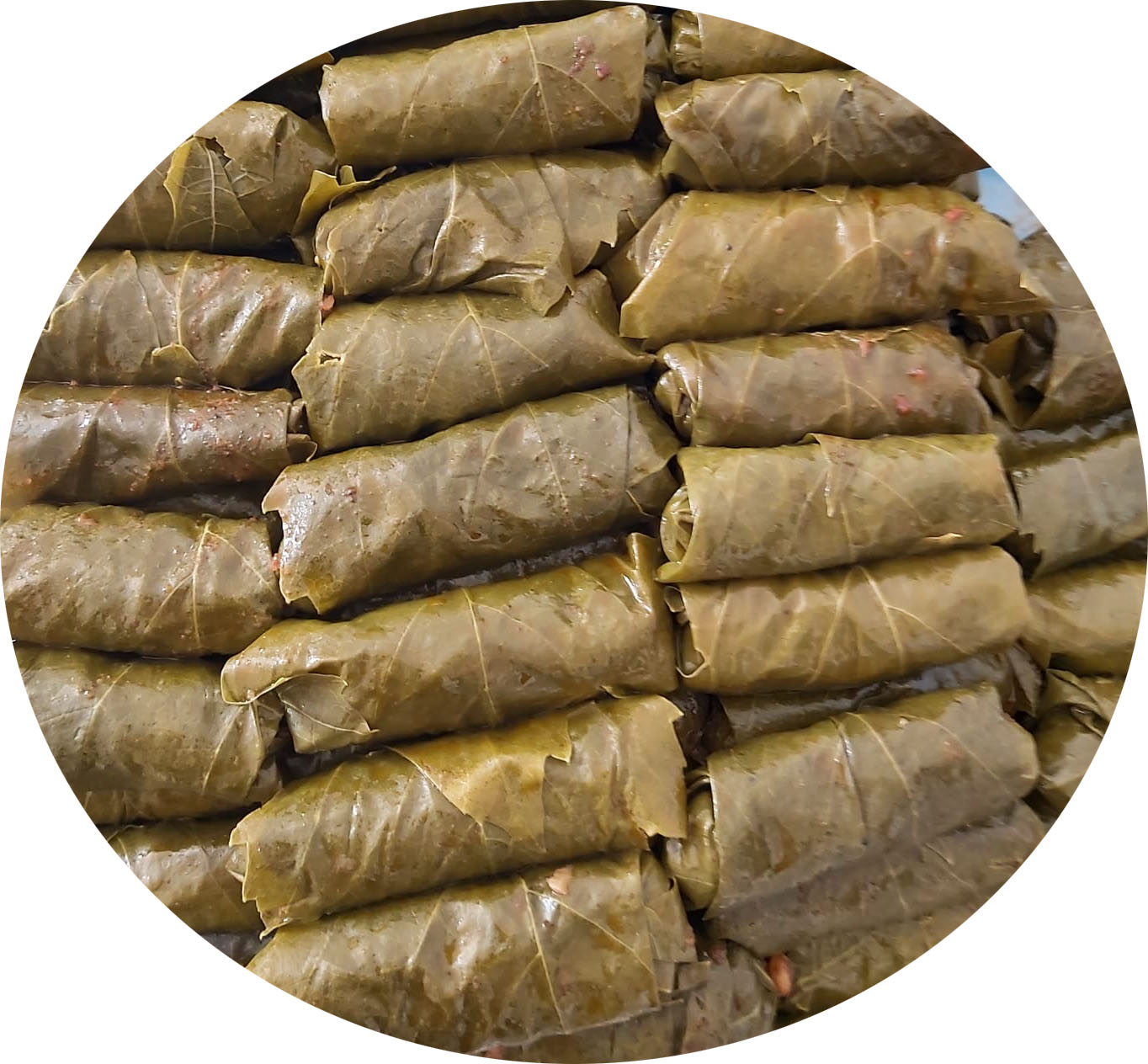 يالنجي (ورق عنب بزيت الزيتون والخضار)